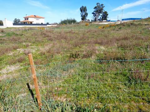 Lotes para Construção em Mangualde