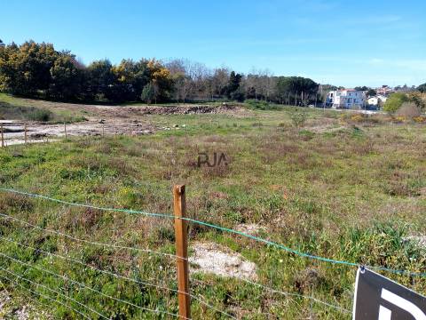 Lotes para Construção em Mangualde