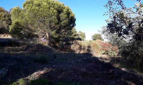 Terreno com viabilidade construtiva em Fornos de Algodres