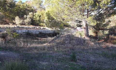 Terreno com viabilidade construtiva em Fornos de Algodres