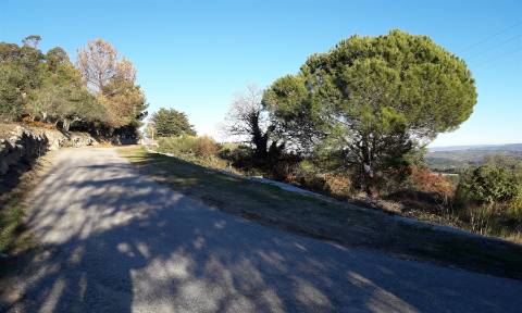 Terreno com viabilidade construtiva em Fornos de Algodres