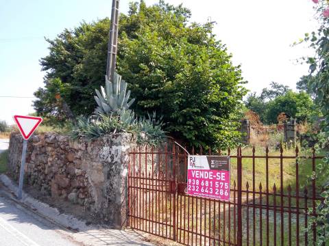 Quinta com Moradia em Rio de Moinhos