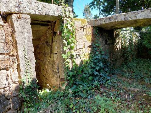 Quinta com Moradia em Rio de Moinhos