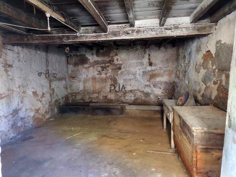 Quinta com Moradia em Rio de Moinhos