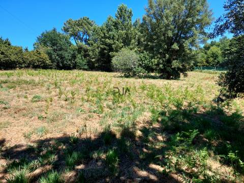 Quinta com Moradia em Rio de Moinhos