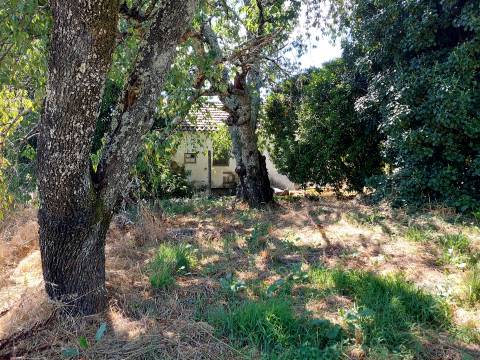 Quinta com Moradia em Rio de Moinhos