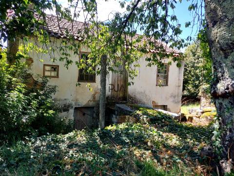 Quinta com Moradia em Rio de Moinhos