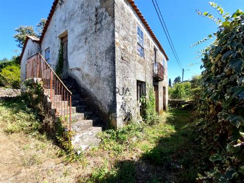 Quinta com Moradia em Rio de Moinhos