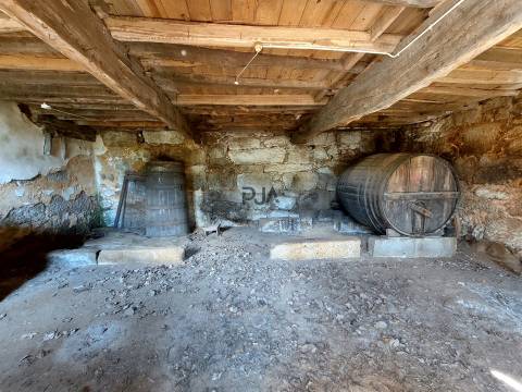 Quinta com Moradia em Rio de Moinhos