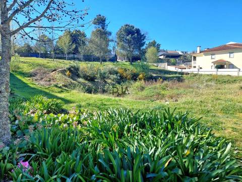 Lotes para Construção
