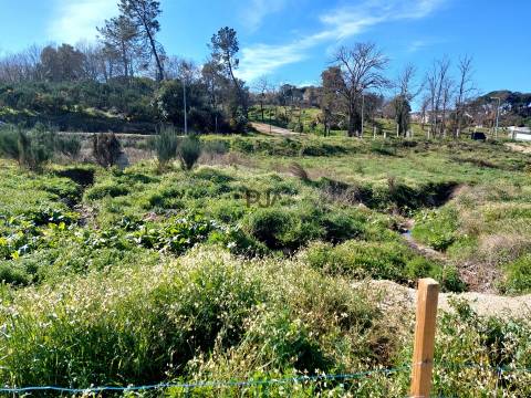 Lote para Construção de prédio - 6 fogos em Mangualde