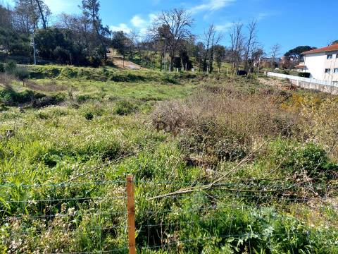 Lote para Construção de prédio - 6 fogos