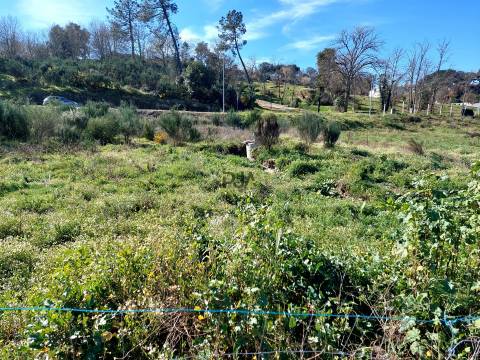 Lote para Construção de prédio - 6 fogos, Mangualde