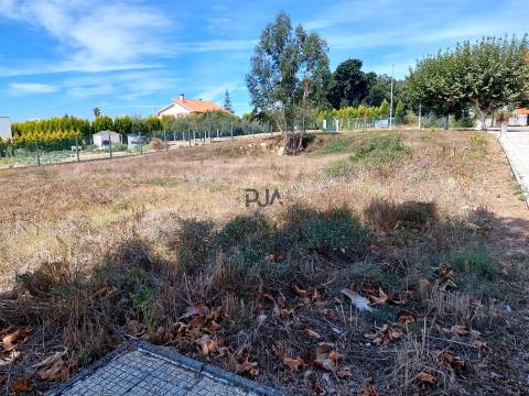 Terreno para Construção de 6 Fogos em Carregal do Sal