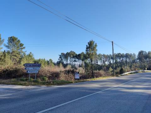 Terreno com 1,5ha em Sezures, Penalva do Castelo