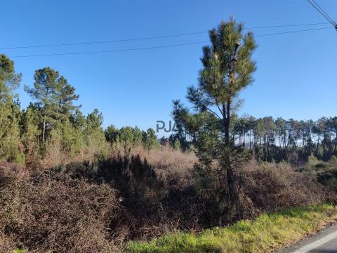 Terreno com 1,5ha em Sezures, Penalva do Castelo