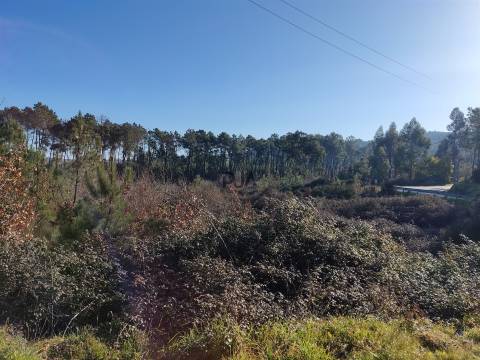 Terreno com 1,5ha em Sezures, Penalva do Castelo
