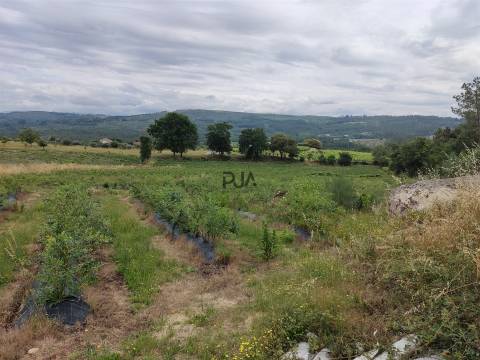 Quinta com 3h em Quintela de Azurara, Mangualde