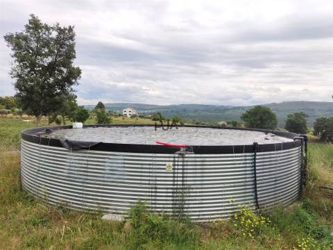 Quinta com 3h em Quintela de Azurara, Mangualde