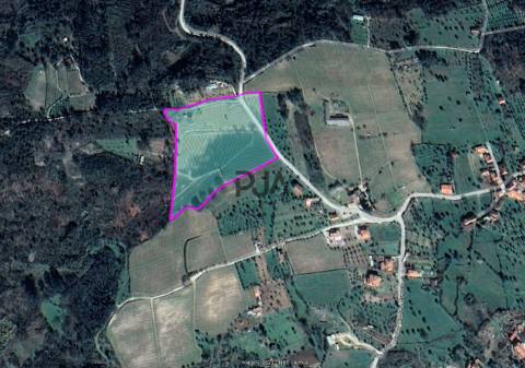 Quinta com 3h em Quintela de Azurara, Mangualde