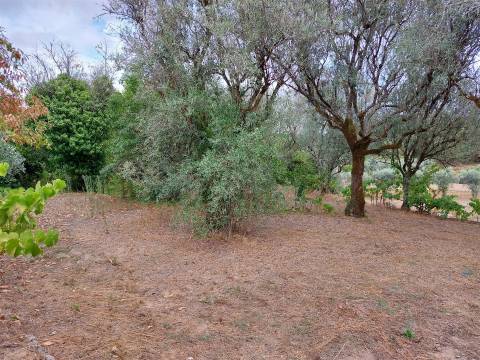 Moradia T2 em Nesperereira