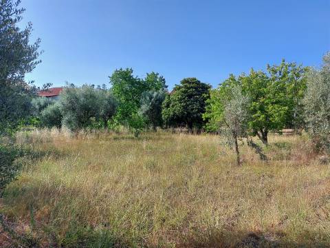 Moradia de granito para reconstrução em Vila Garcia