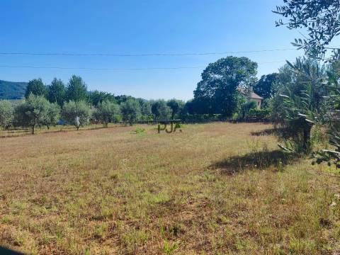 Terreno para construção em Penalva do Castelo