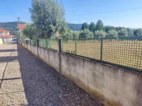 Terreno para construção em Penalva do Castelo
