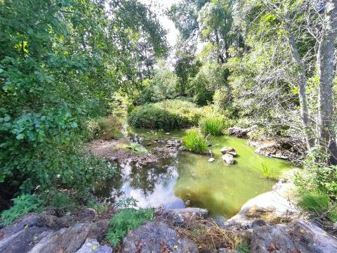 Quinta com 8ha em Penalva do Castelo