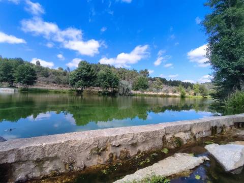 Quinta com 8ha em Penalva do Castelo