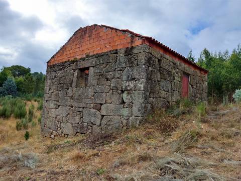 Quinta com 8ha em Penalva do Castelo