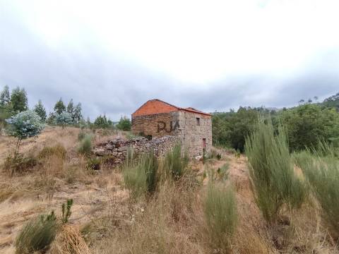 Quinta com 8ha em Penalva do Castelo