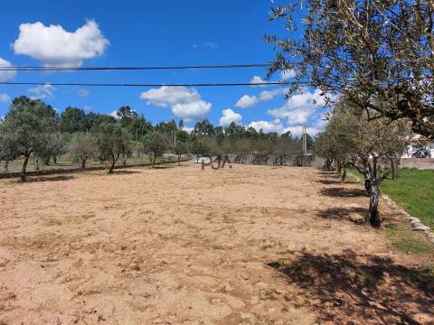 Terreno para construção em Vila Garcia