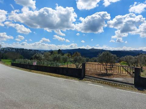 Terreno para construção em Vila Garcia