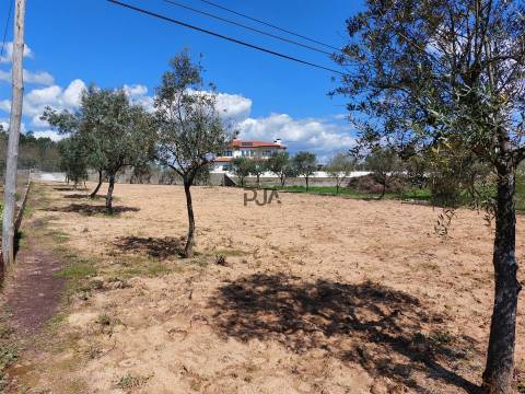 Terreno para construção em Vila Garcia