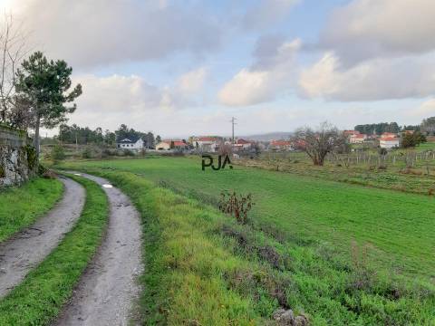 Terreno agrícola em Rancozinho