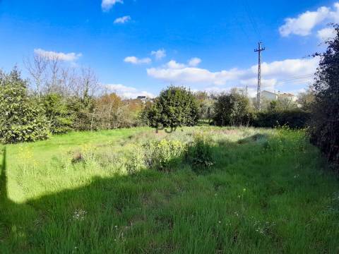 Terreno com viabilidade construtiva em Romãs, Sátão