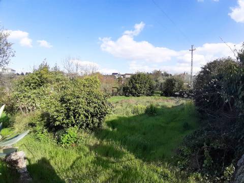 Terreno com viabilidade construtiva em Romãs, Sátão