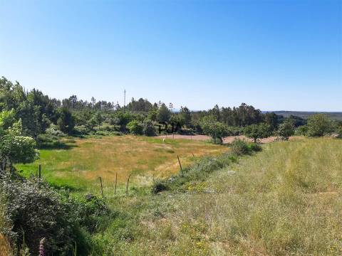 Quinta com cerca de 7ha, Rancozinho