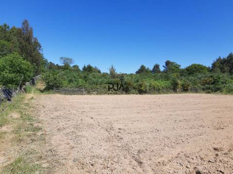 Quinta com cerca de 7ha, Rancozinho