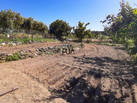 Quinta com cerca de 7ha, Rancozinho