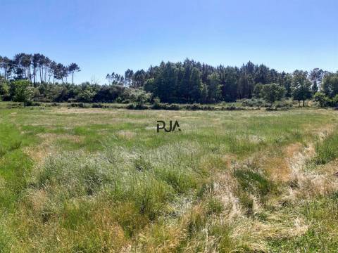 Quinta com cerca de 7ha, Rancozinho