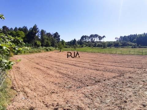 Quinta com cerca de 7ha, Rancozinho