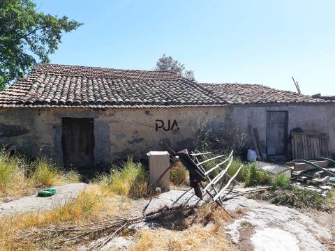 Quinta com cerca de 7ha, Rancozinho