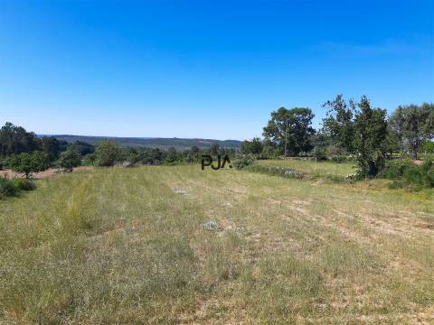 Quinta com cerca de 7ha, Rancozinho