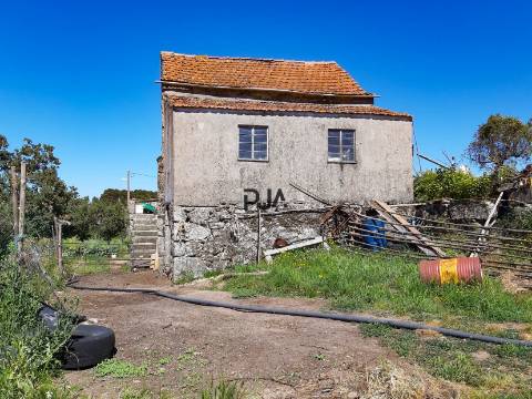 Quinta com cerca de 7ha, Rancozinho