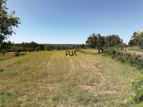 Quinta com cerca de 7ha, Rancozinho