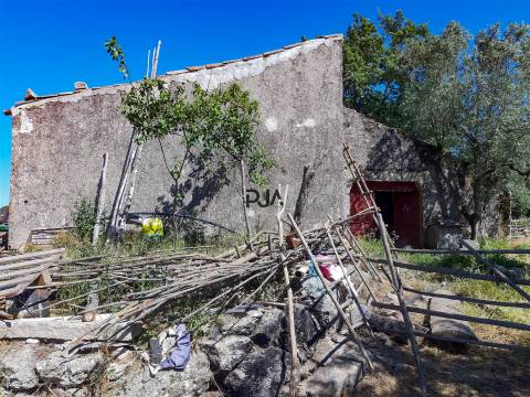 Quinta com cerca de 7ha, Rancozinho