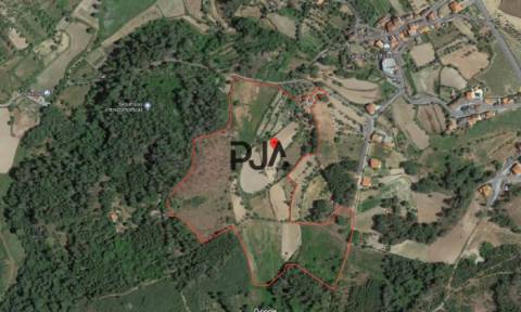 Quinta com cerca de 7ha, Rancozinho