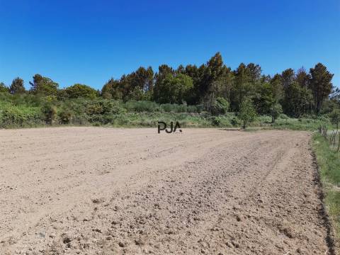 Quinta com cerca de 7ha, Rancozinho